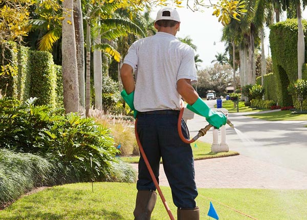 About Brimfield MA Pest Control Pros